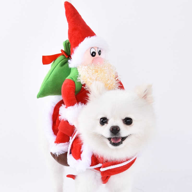 Dog Costume with Funny Transformation Design and Creative - Image 3
