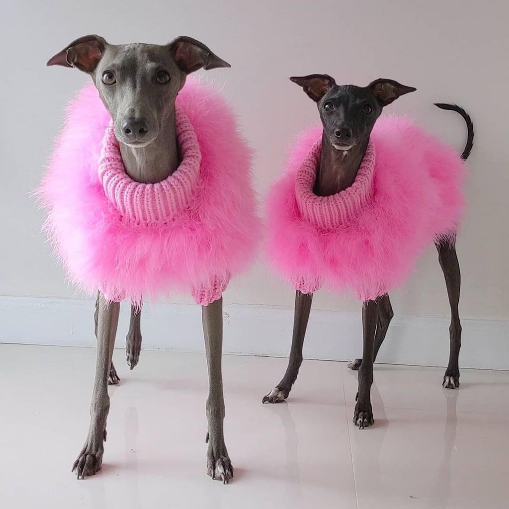 Dog Sweater with Fluffy Faux Fur and Ribbed Knit Turtleneck for Small - Image 1