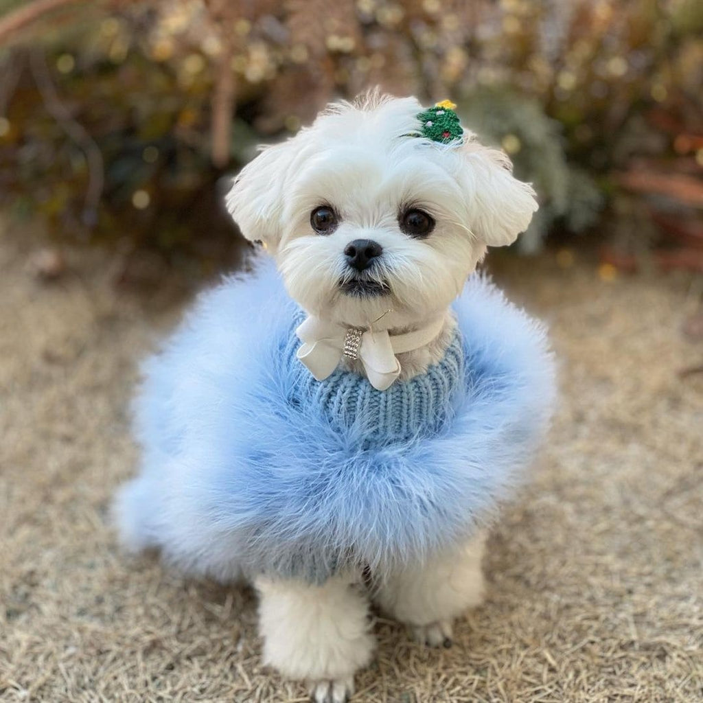 Dog Sweater with Fluffy Faux Fur and Ribbed Knit Turtleneck for Small - Image 4