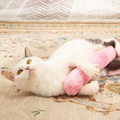Jouet coussin apaisant à l’herbe-aux-chats pour chats