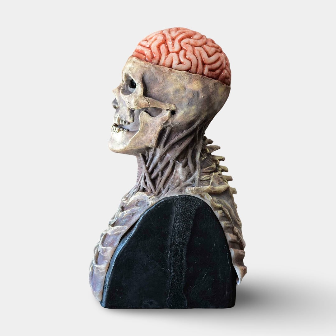 Halloween Maska Czaszka ze Szkieletem i Odsłoniętym Mózgiem Lateksowa do Przebrania - Image 3