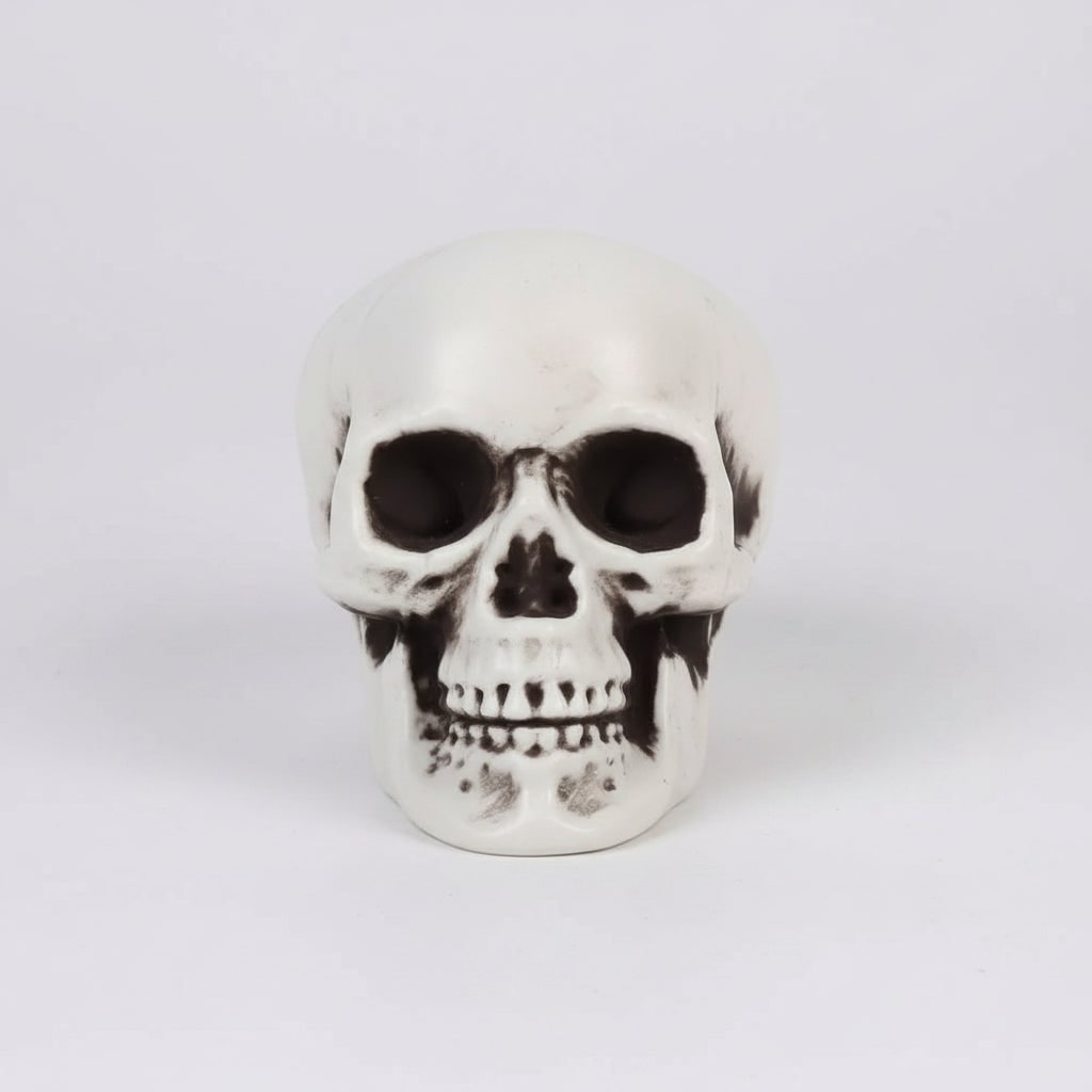 Halloween Ozdoby Czaszki Dekoracyjne Mini Zestaw z Matowym Wykończeniem i Czarnymi Cieniowaniami - Image 2
