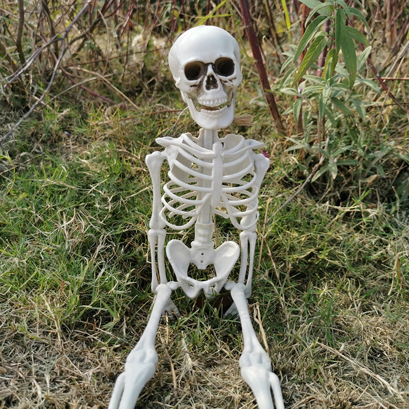 Halloween Plastikowy Szkielet z Ruchomymi Stawami Kostium Przebranie na Imprezę i Dekorację - Image 1