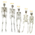 Halloween Plastikowy Szkielet z Ruchomymi Stawami Kostium Przebranie na Imprezę i Dekorację - Image 3