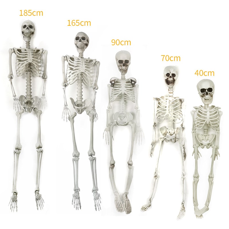 Halloween Plastikowy Szkielet z Ruchomymi Stawami Kostium Przebranie na Imprezę i Dekorację - Image 3