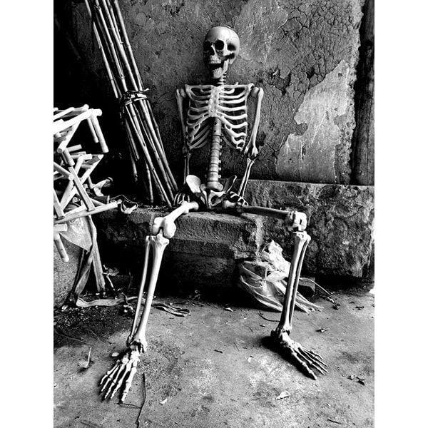 Halloween Plastikowy Szkielet z Ruchomymi Stawami Kostium Przebranie na Imprezę i Dekorację - Image 4