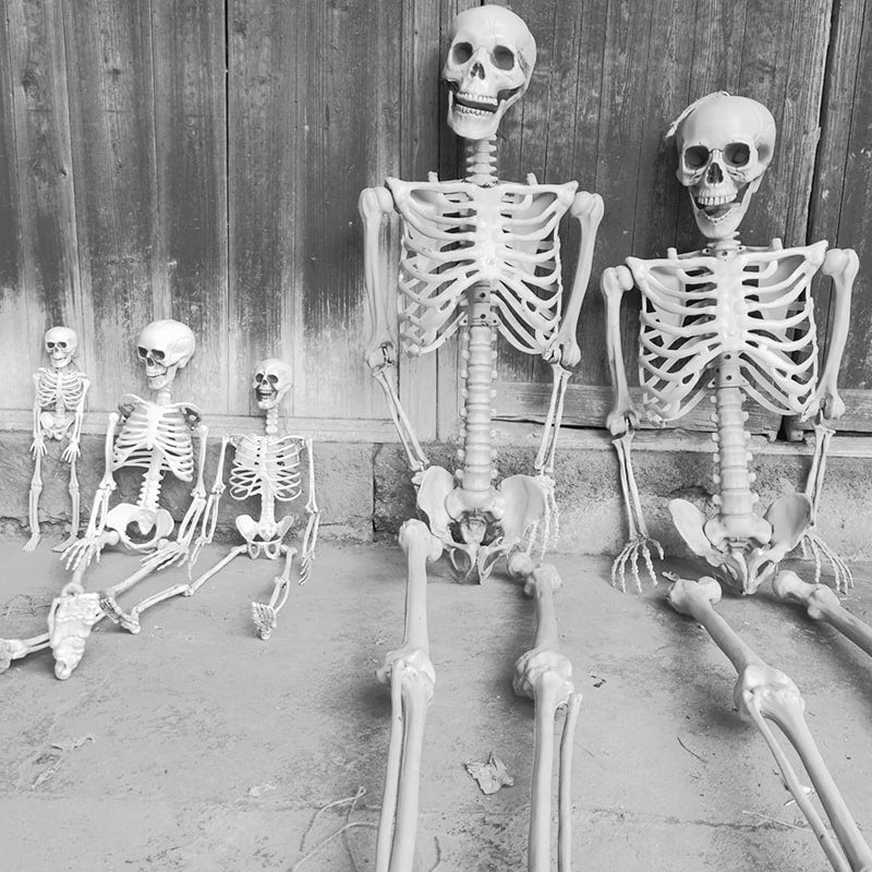 Halloween Plastikowy Szkielet z Ruchomymi Stawami Kostium Przebranie na Imprezę i Dekorację - Image 5