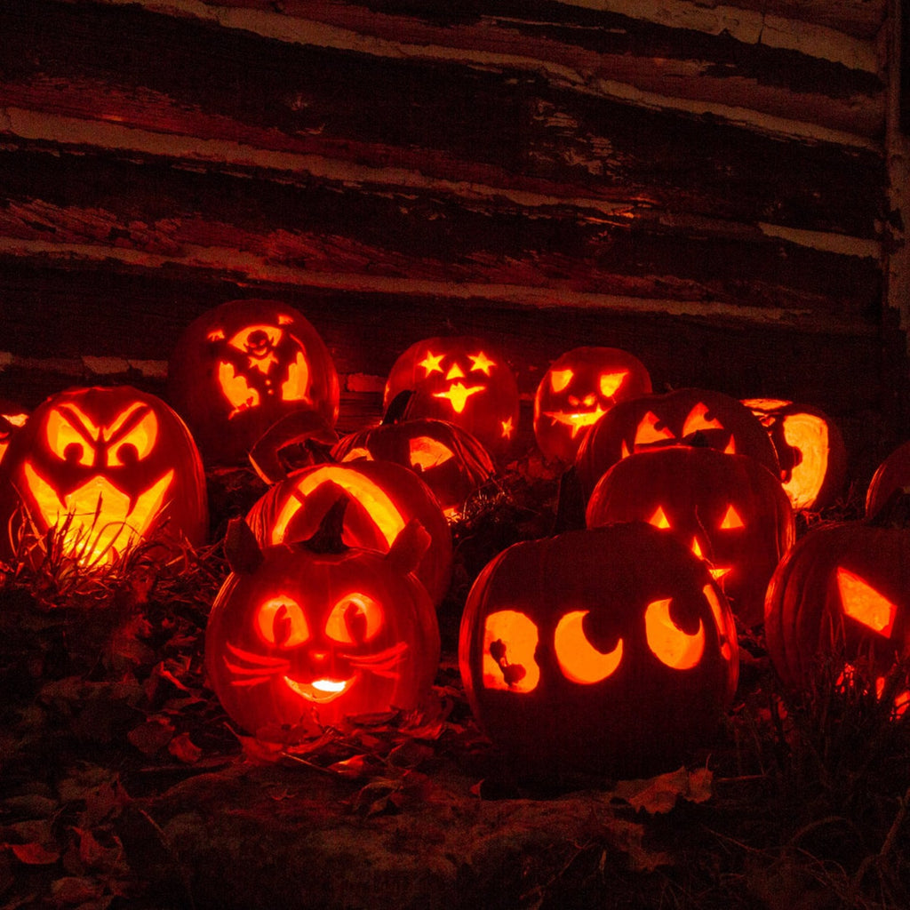 Halloween Zestaw do Wycinania Dyni 13-Elementowy Narzędzia ze Stali Nierdzewnej - Image 8