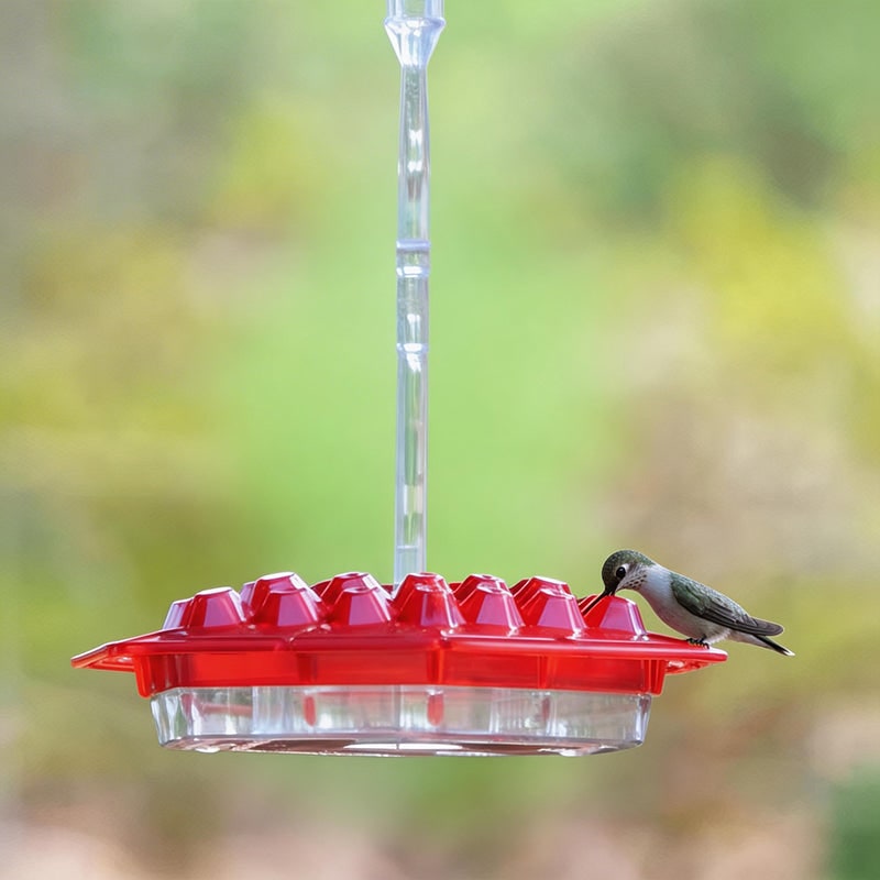 Hummingbird Feeder with Raised Diamond Ports and Multiple Feeding Stations - Image 1