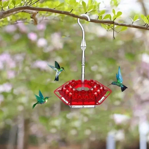 Hummingbird Feeder with Raised Diamond Ports and Multiple Feeding Stations - Image 4