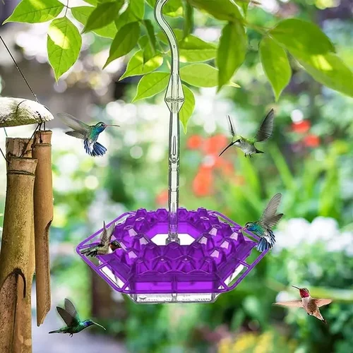 Hummingbird Feeder with Raised Diamond Ports and Multiple Feeding Stations - Image 5