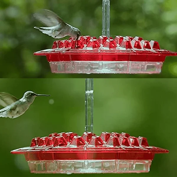 Hummingbird Feeder with Raised Diamond Ports and Multiple Feeding Stations - Image 7