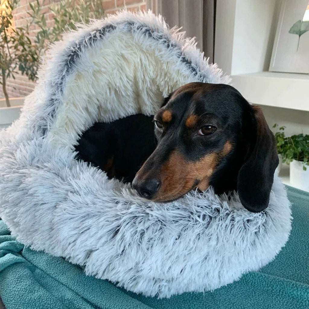Cuccia rotonda per animali con cappuccio