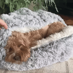 Cuccia rotonda per animali con cappuccio