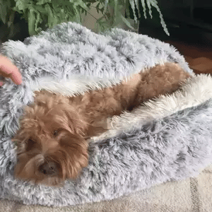 Cuccia rotonda per animali con cappuccio