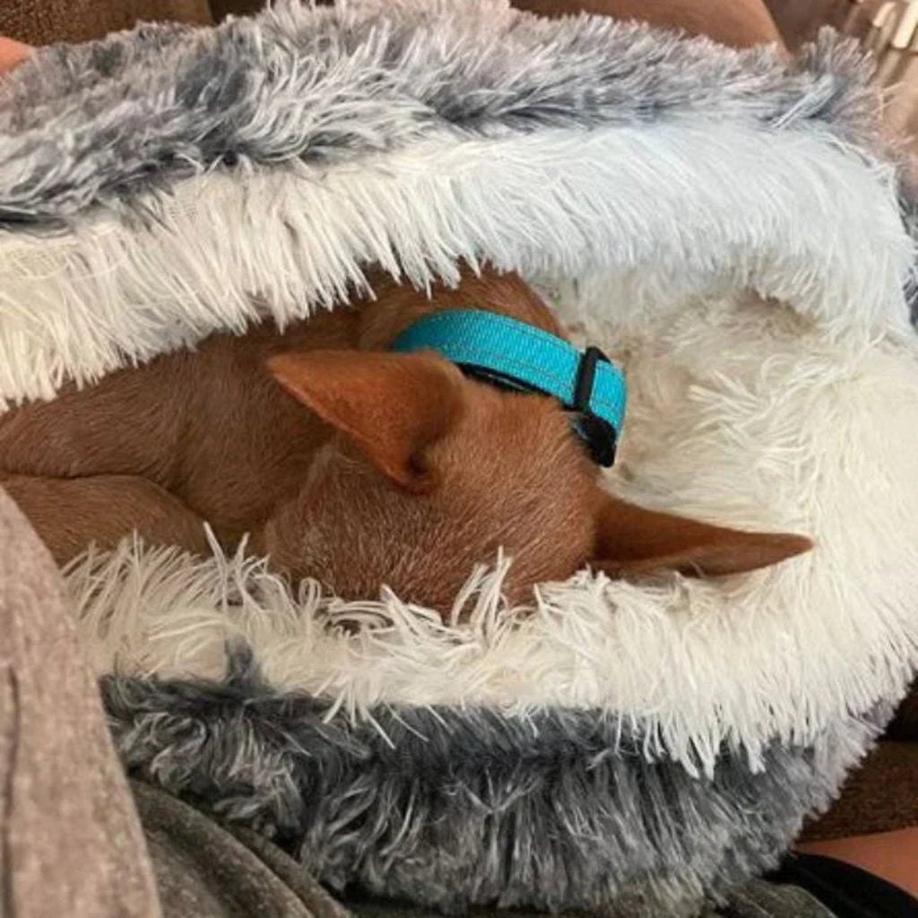Cuccia rotonda per animali con cappuccio