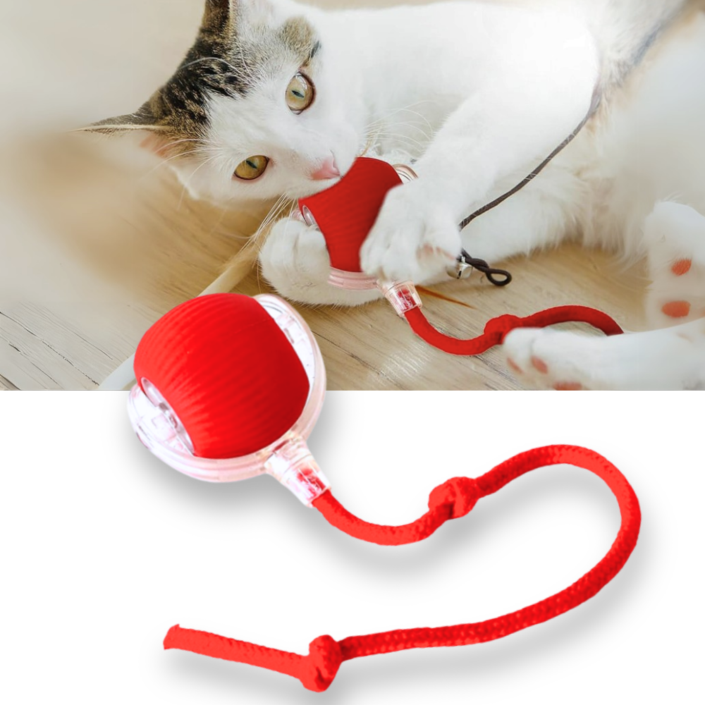 Interactive Cat Toys with Motorized Rolling Ball and Rope Tail - Image 1
