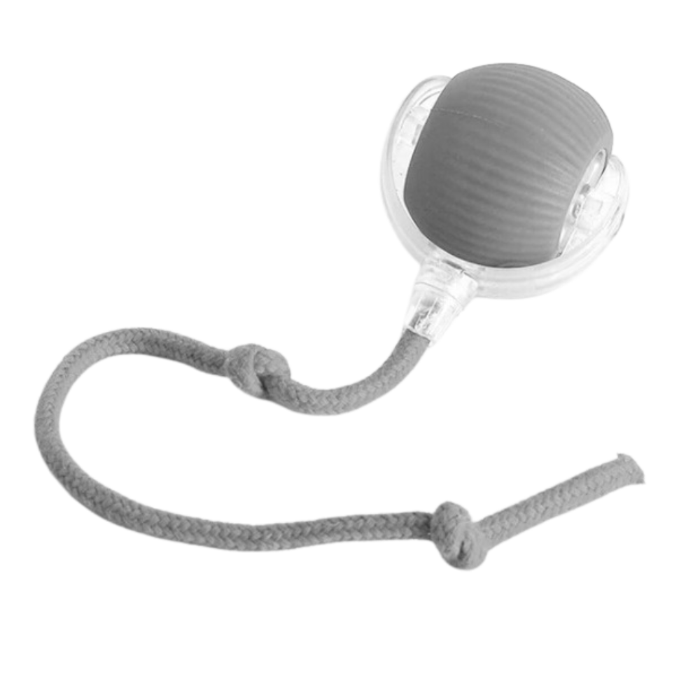 Interactive Cat Toys with Motorized Rolling Ball and Rope Tail - Image 10