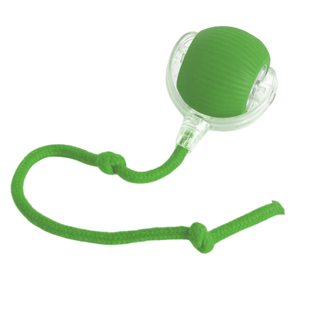 Interactive Cat Toys with Motorized Rolling Ball and Rope Tail - Image 11