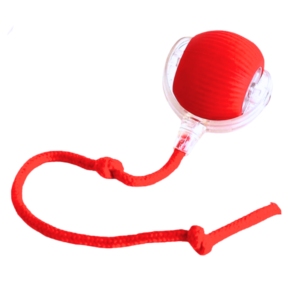 Interactive Cat Toys with Motorized Rolling Ball and Rope Tail - Image 2