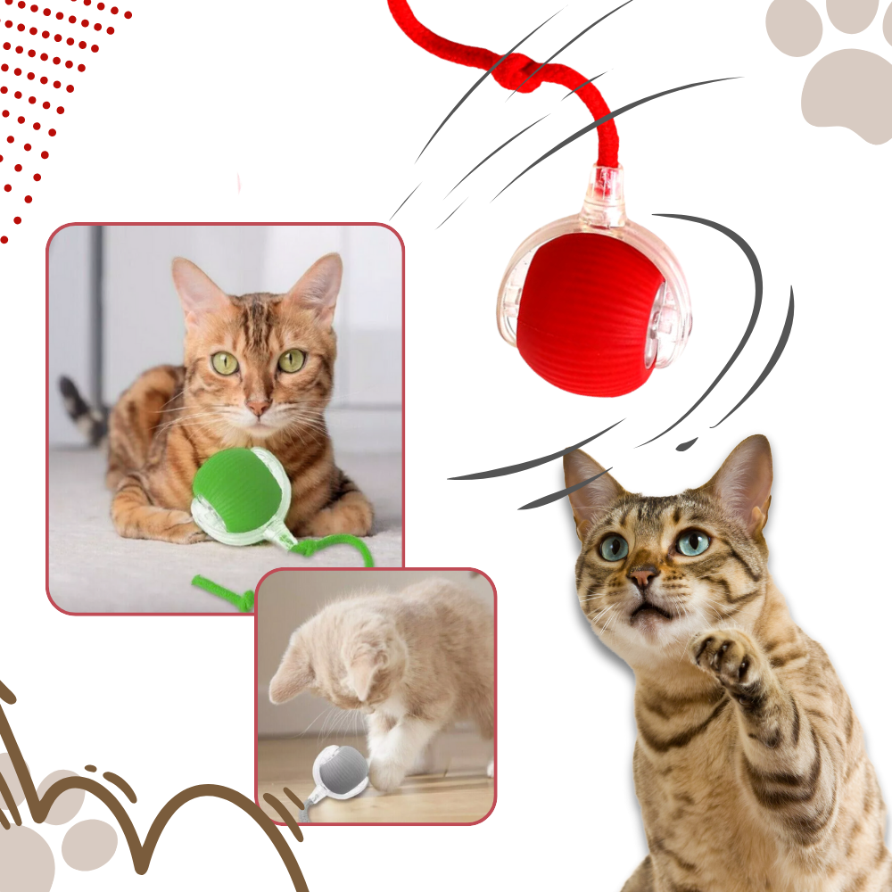 Interactive Cat Toys with Motorized Rolling Ball and Rope Tail - Image 3
