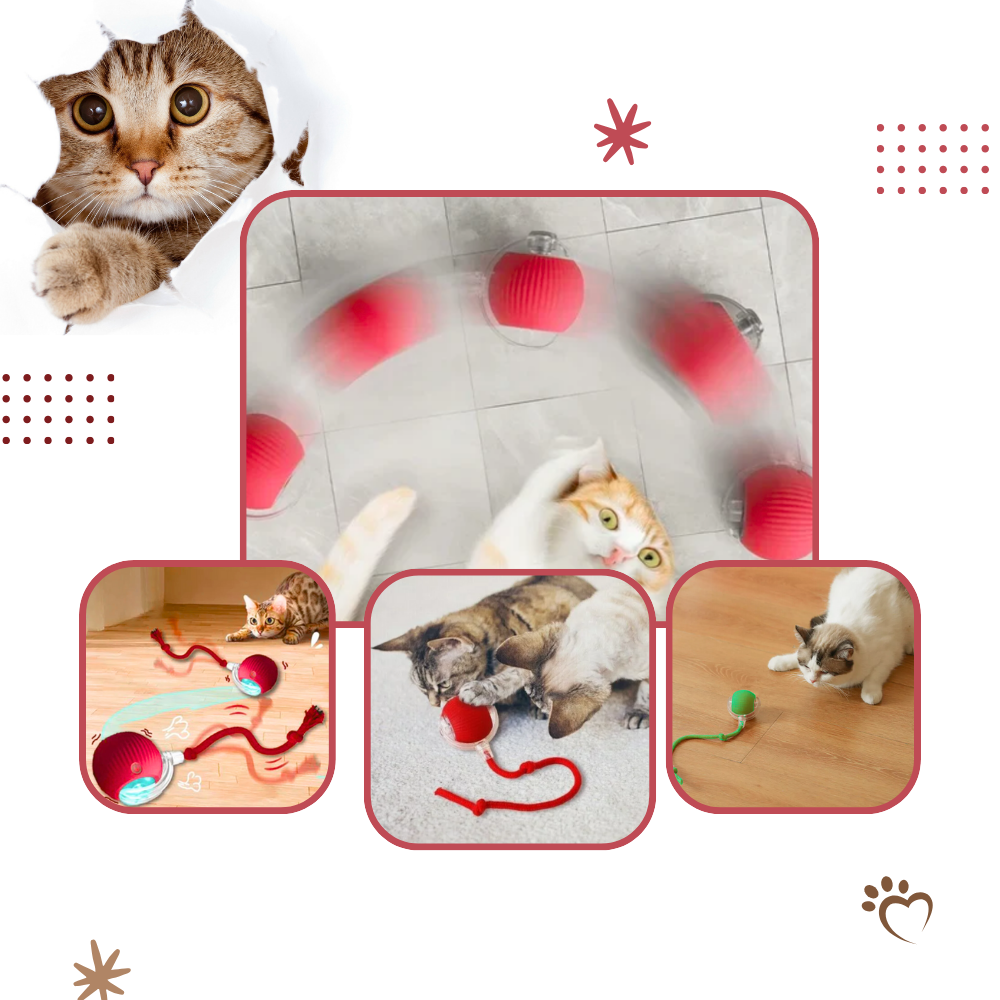 Interactive Cat Toys with Motorized Rolling Ball and Rope Tail - Image 4