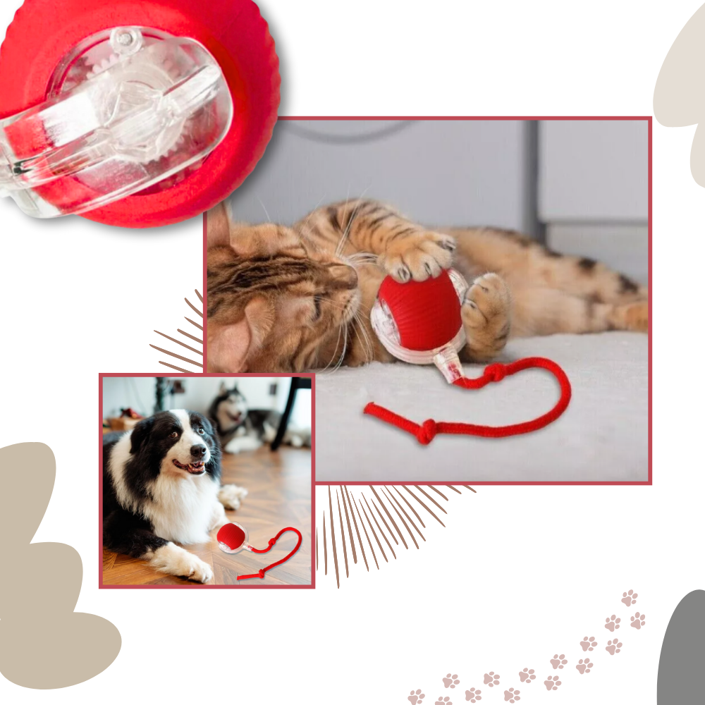 Interactive Cat Toys with Motorized Rolling Ball and Rope Tail - Image 5