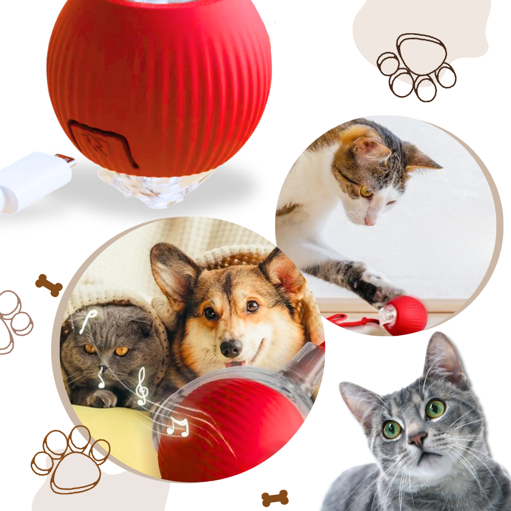 Interactive Cat Toys with Motorized Rolling Ball and Rope Tail - Image 6