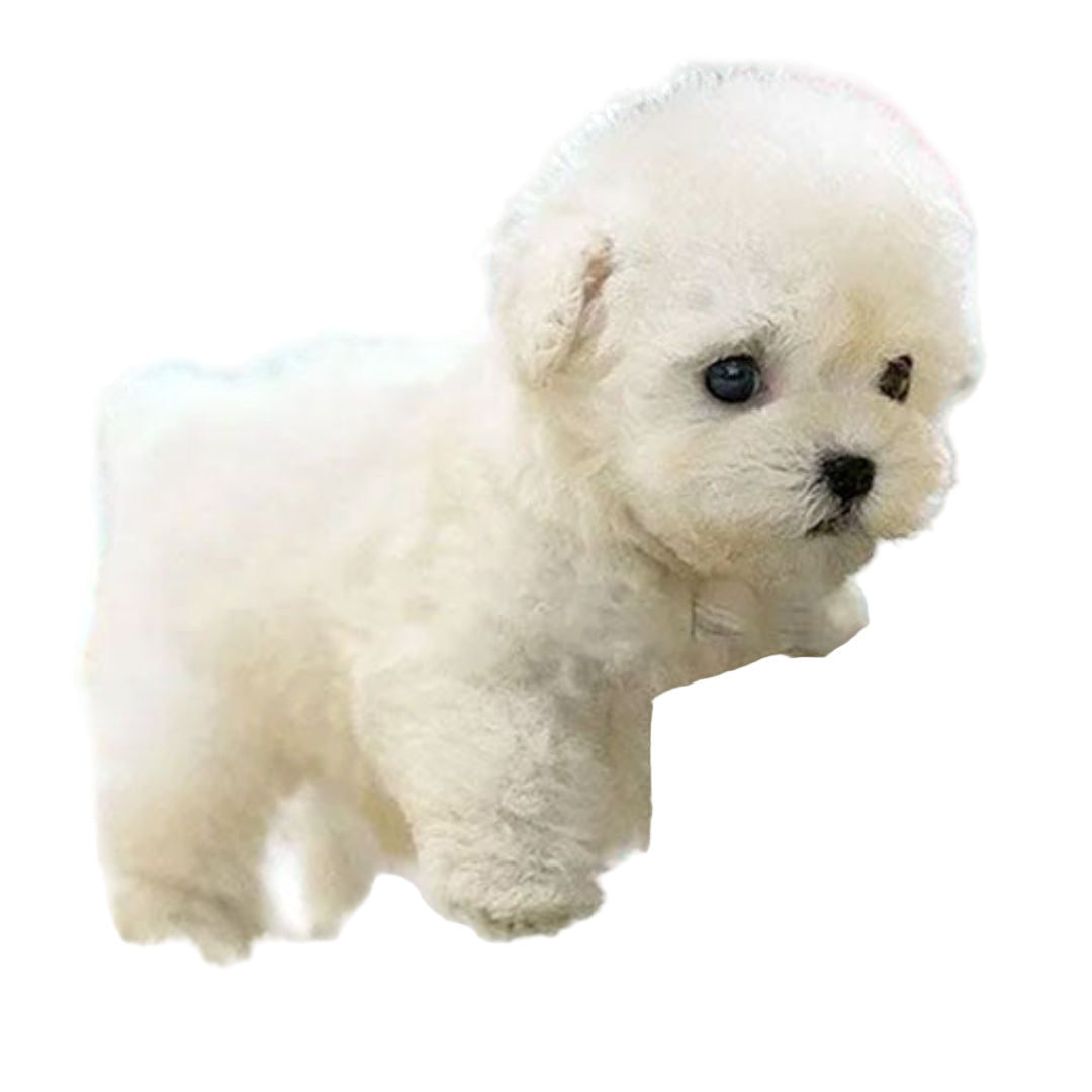 Cane di peluche realistico interattivo con funzioni mobili