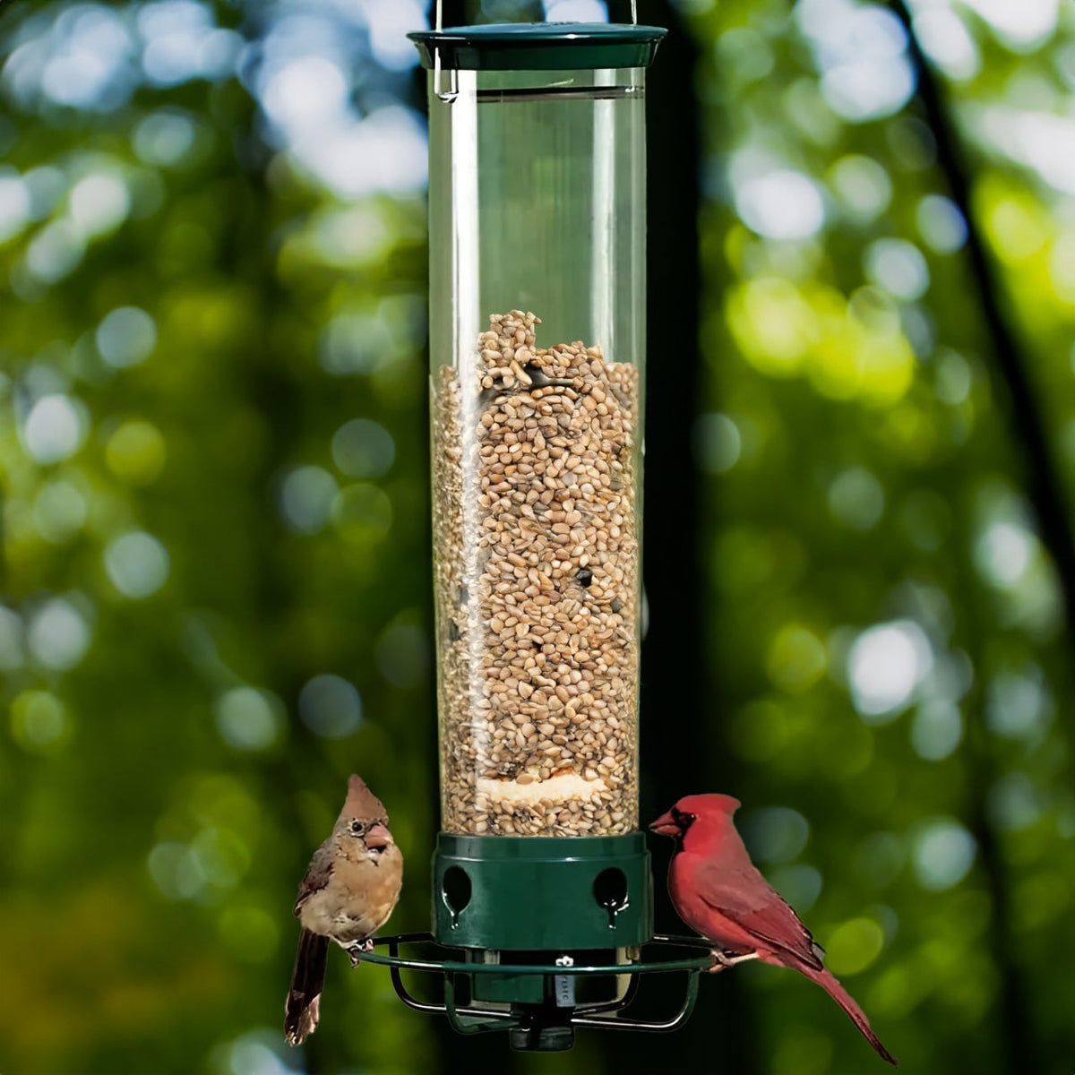 Bird and Tit Feeder with Squirrel Protection — photo 1