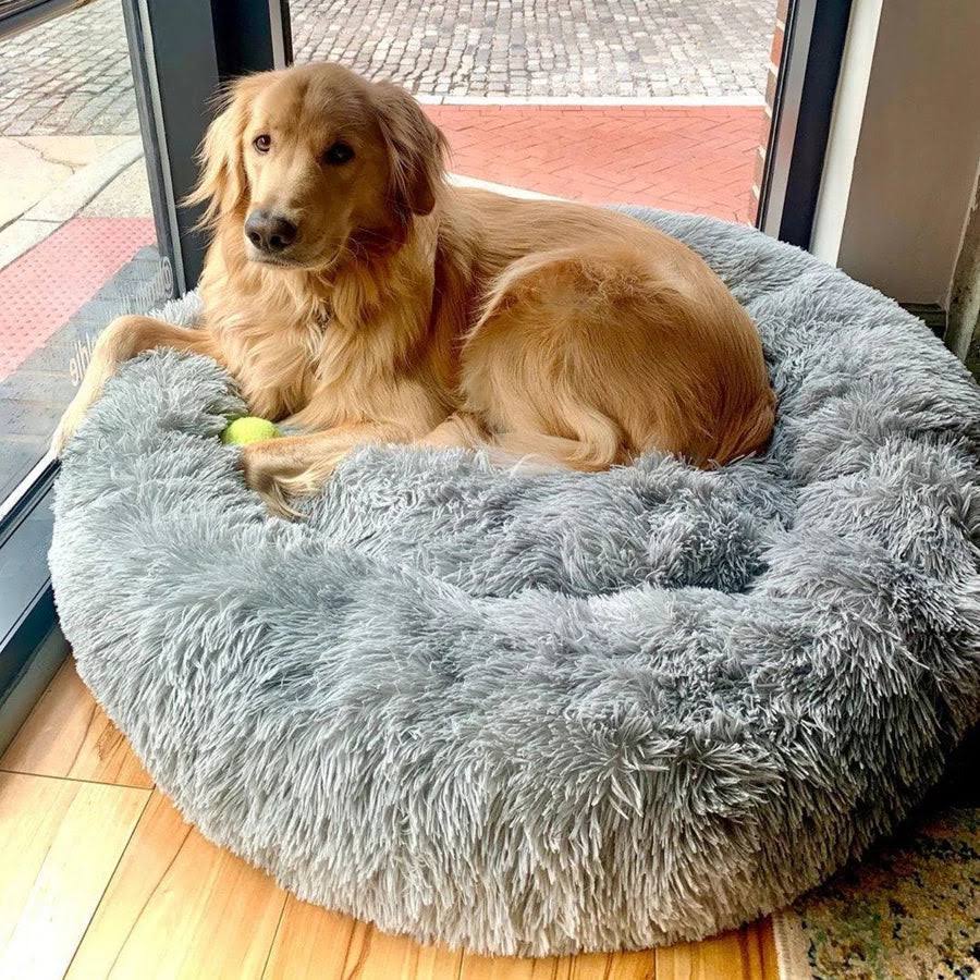 Letto impermeabile per cane con funzione calmante