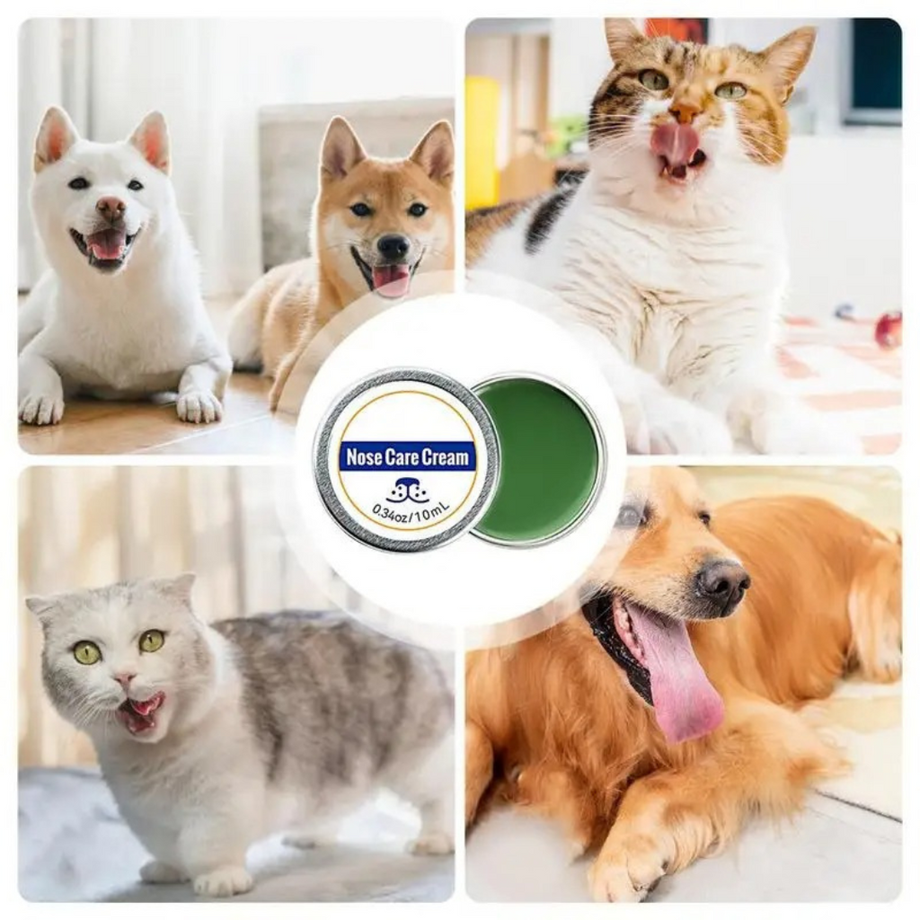 Zmiękczający balsam nawilżający na psi nos