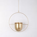 Collection of modern hanging planters