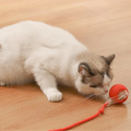 Cleverer rollender Ball mit Schwanz für Katzen