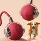 Przygodowa Angażująca Ruchoma Piłka z Ogonkiem Dla Psów