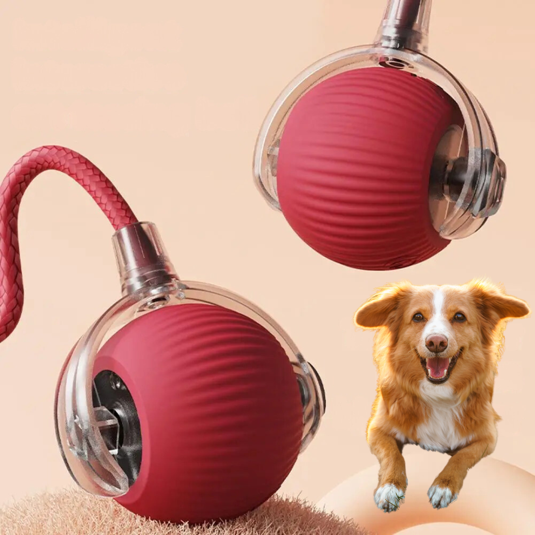 Przygodowa Angażująca Ruchoma Piłka z Ogonkiem Dla Psów